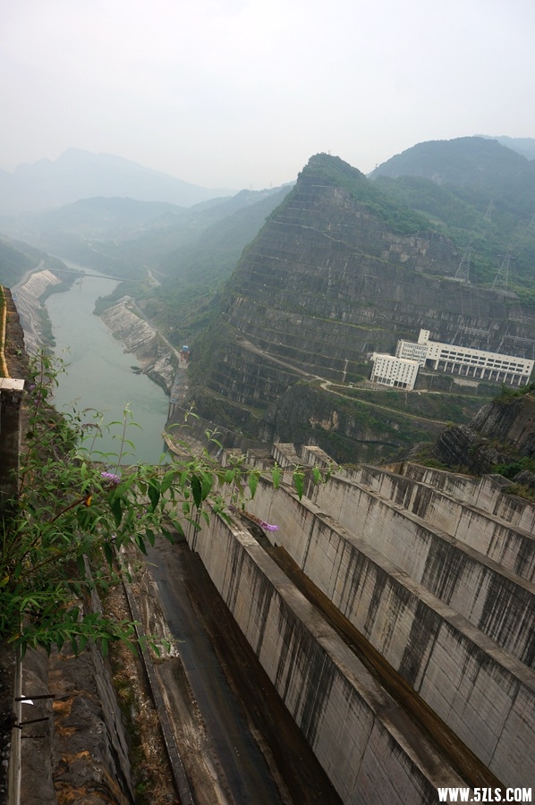 DSC06194_.jpg