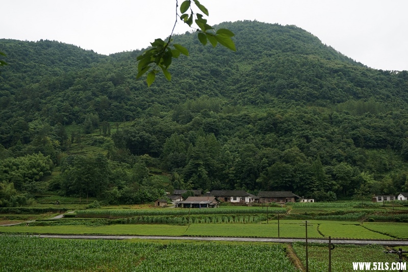 DSC06230_.jpg
