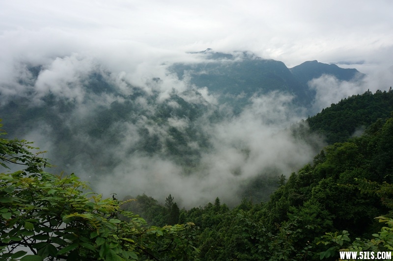 DSC06257_.jpg