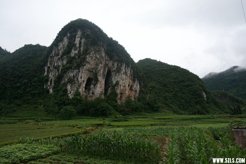 DSC06455_.jpg