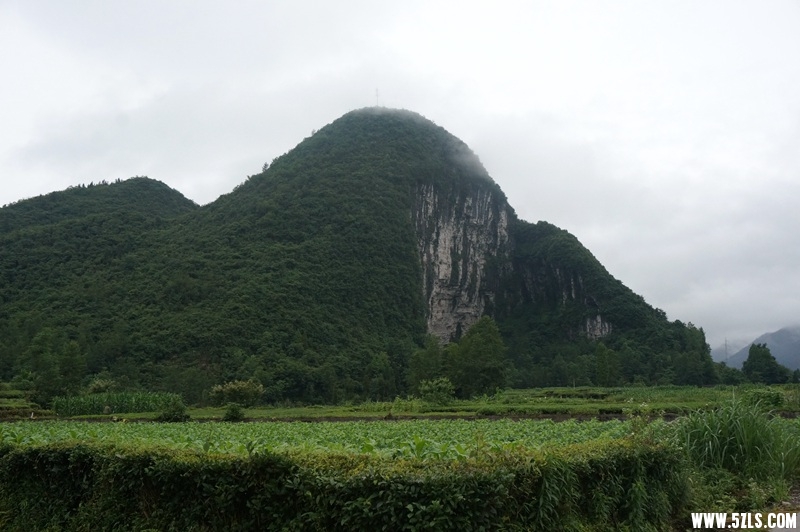 DSC06456_.jpg