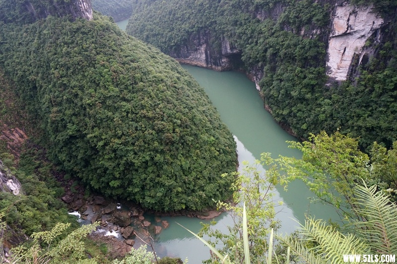 DSC06476_.jpg