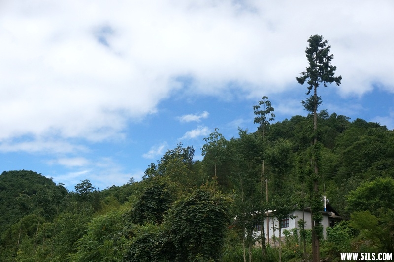 DSC06501_.jpg