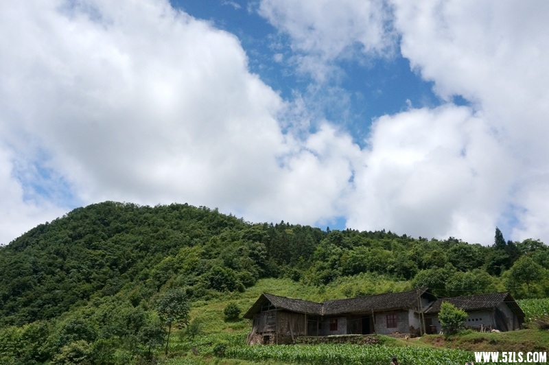 DSC06557_.jpg