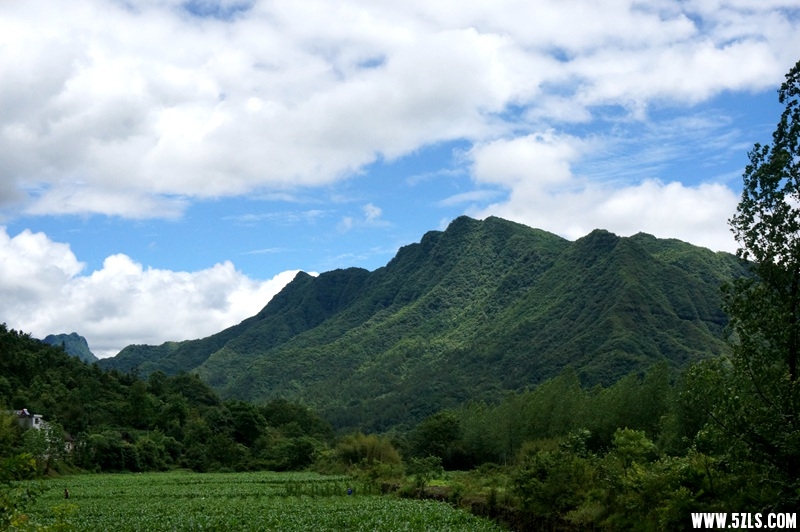 DSC06570_.jpg