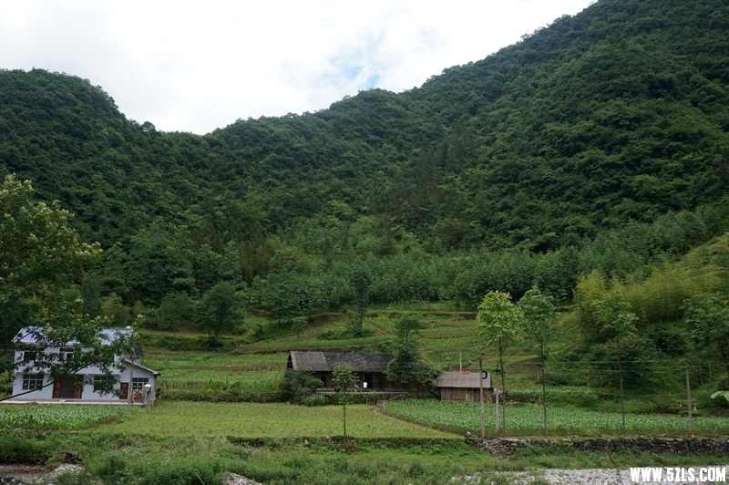 DSC06583_.jpg