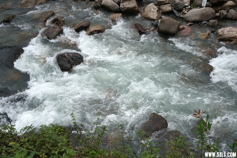 DSC06589_.jpg