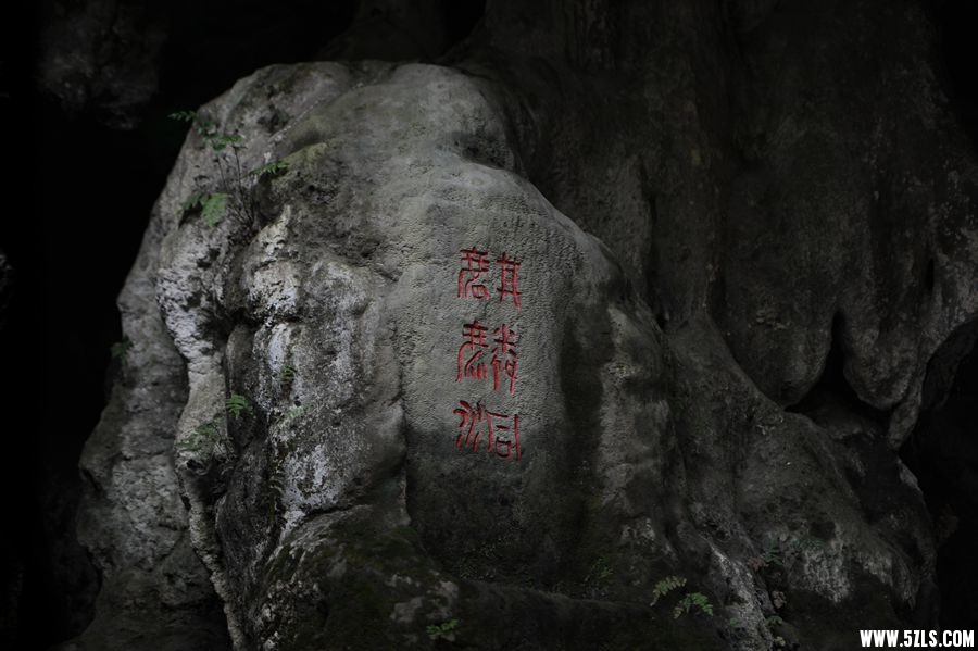 DSC_0267_副本_副本.jpg
