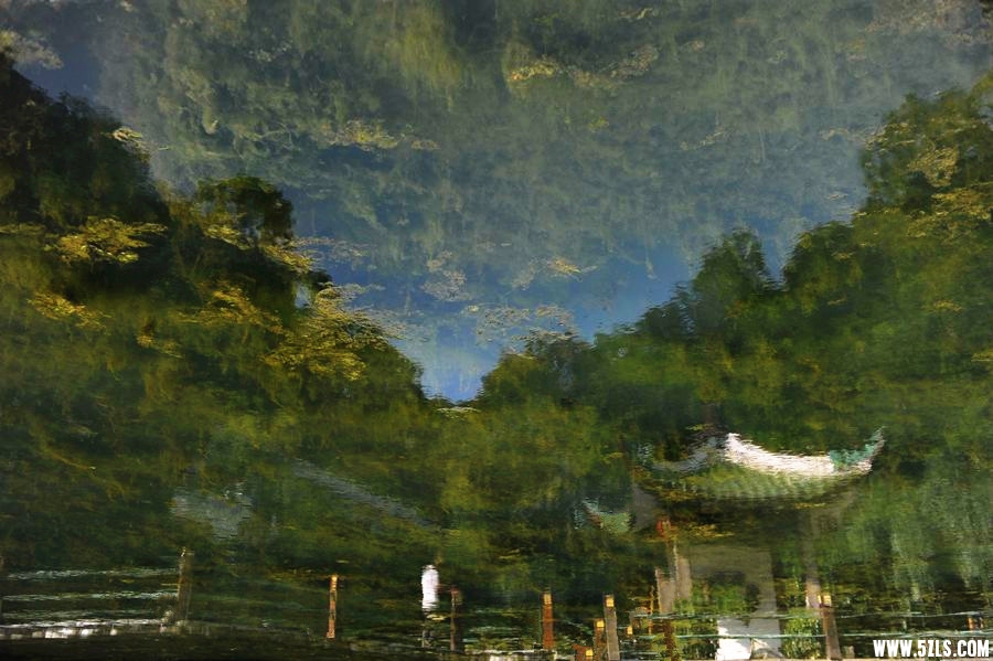 DSC_3090_副本_副本.jpg