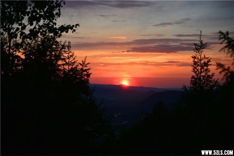 DSC_3379.jpg
