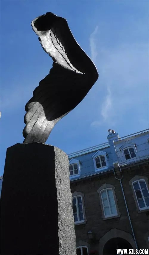 05.jpg