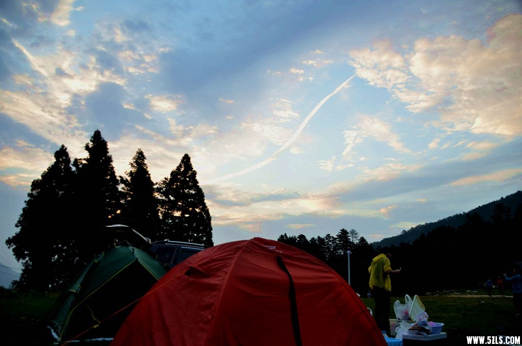 DSC_2237__.jpg