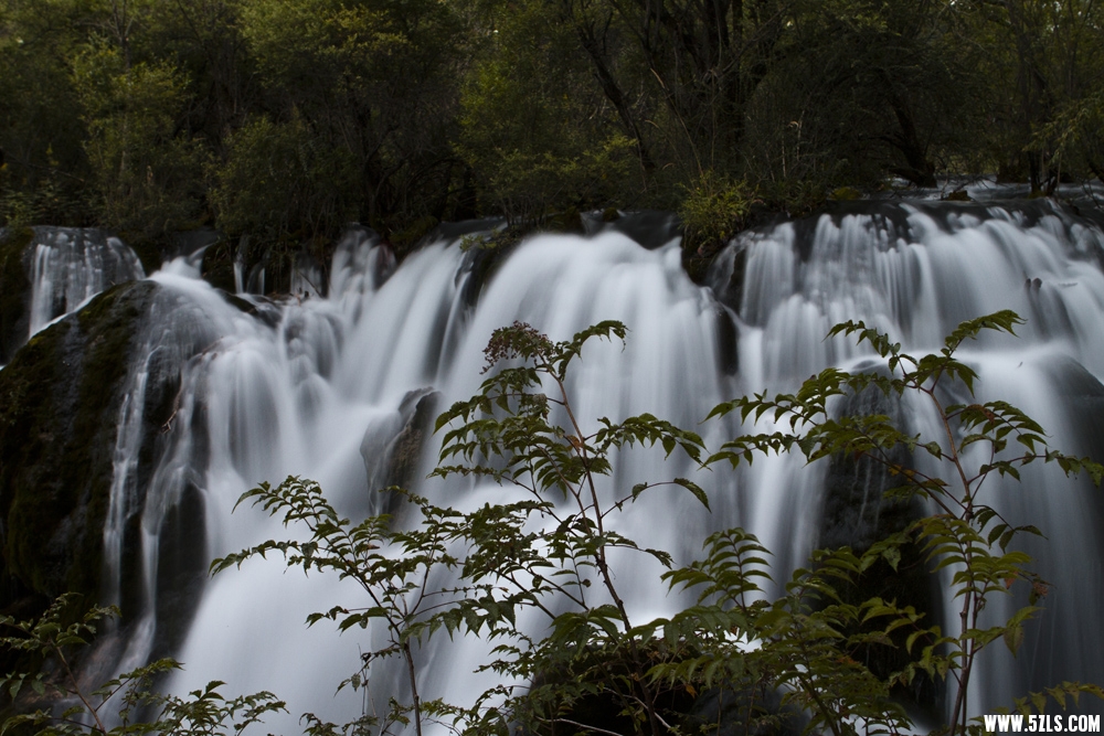 _MG_1319.JPG