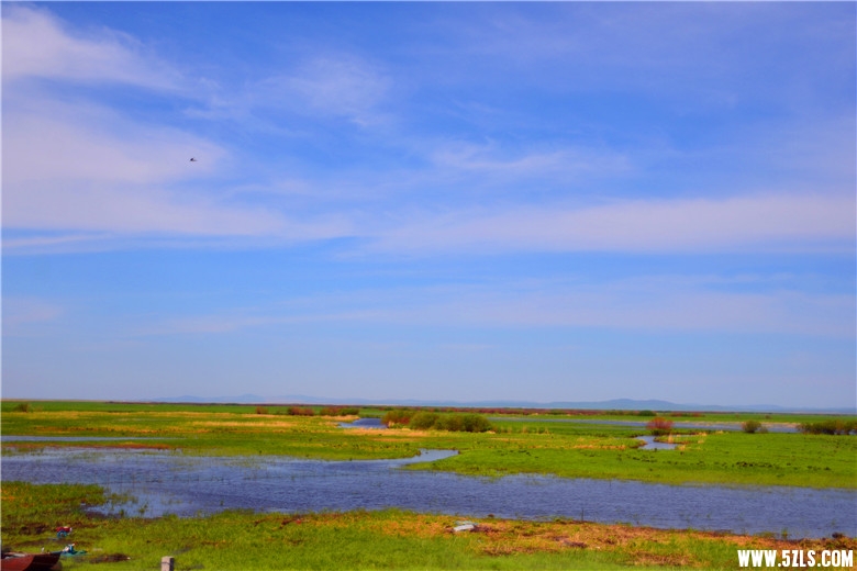 DSC_3912.jpg