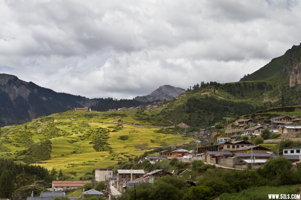 _MG_2002.JPG