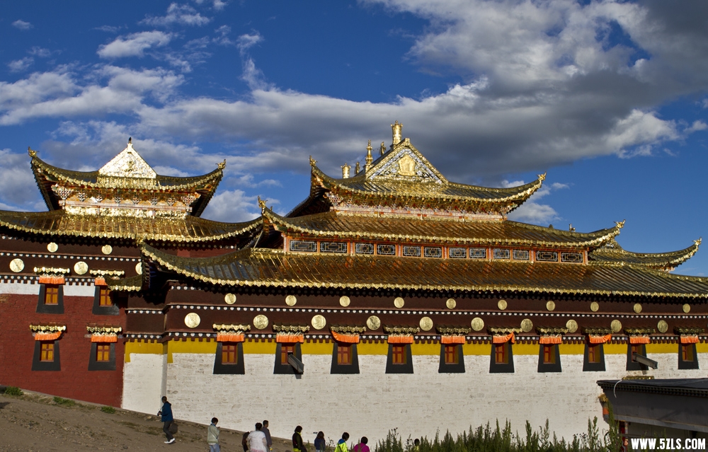 _MG_2104.JPG