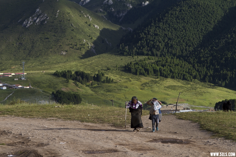 _MG_2088.JPG