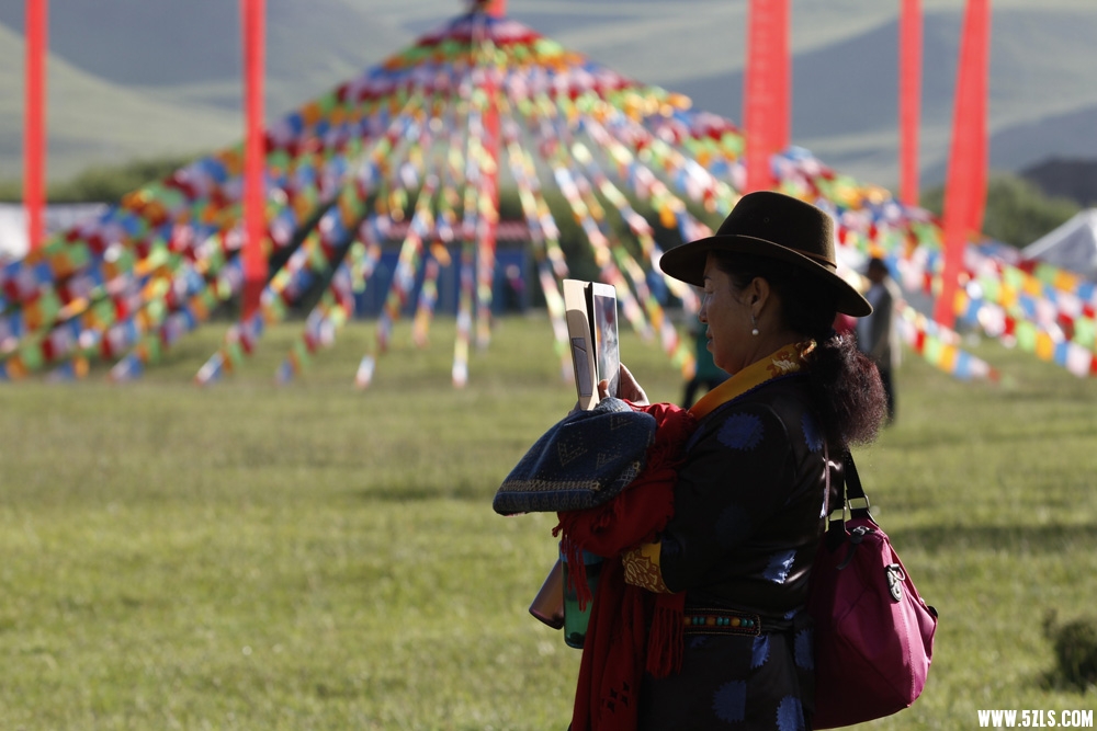 _MG_2327.JPG
