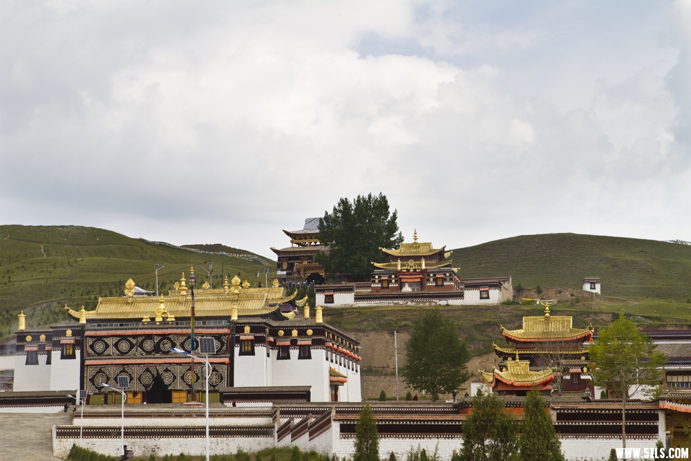 _MG_2677.JPG