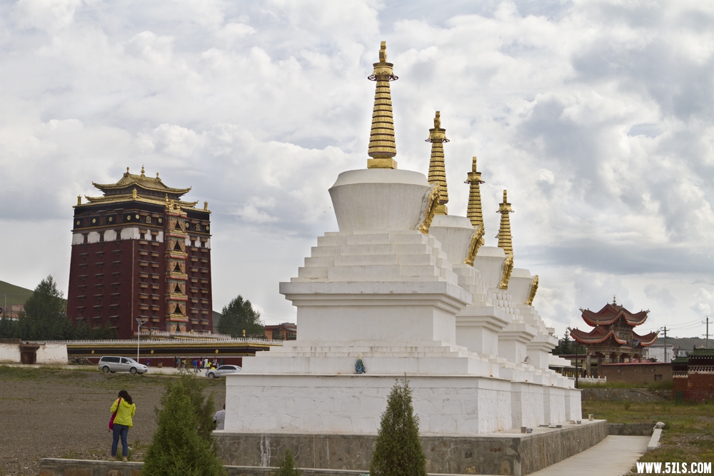 _MG_2679.JPG