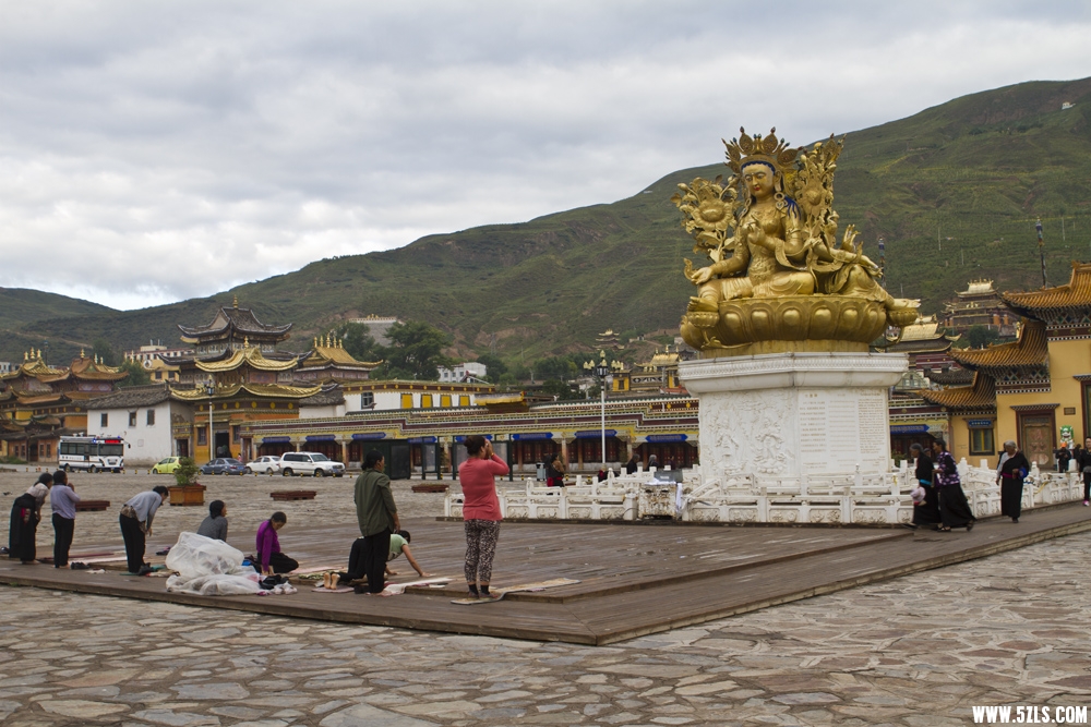 _MG_2770.JPG