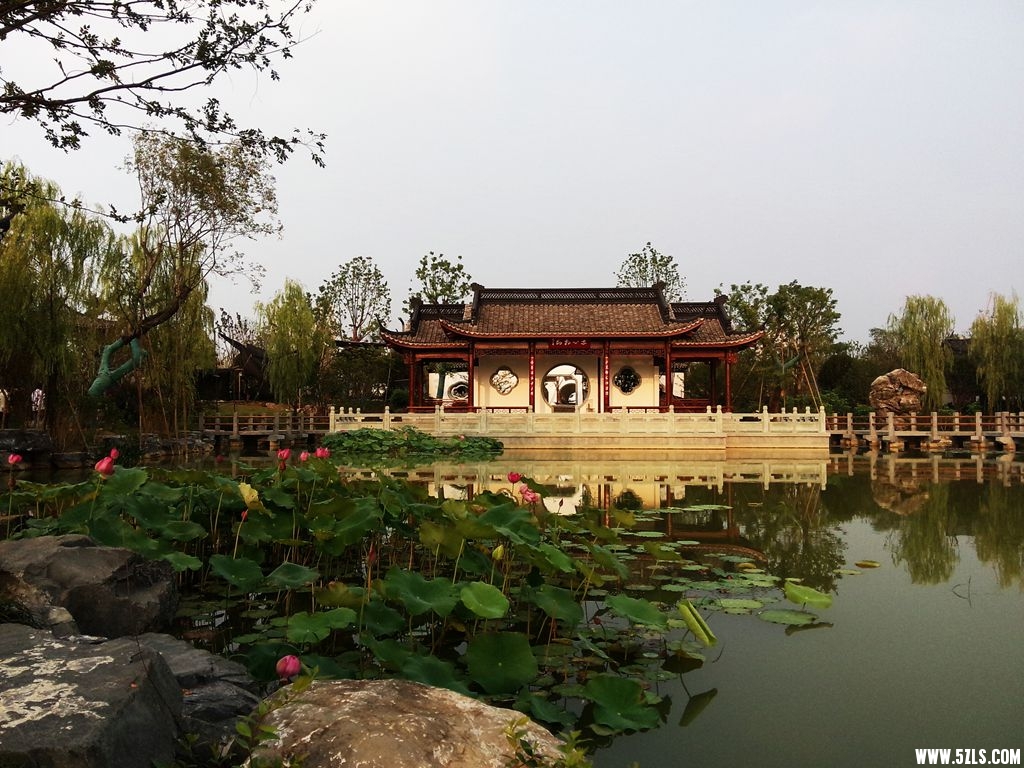 P50829-173008-001_.jpg