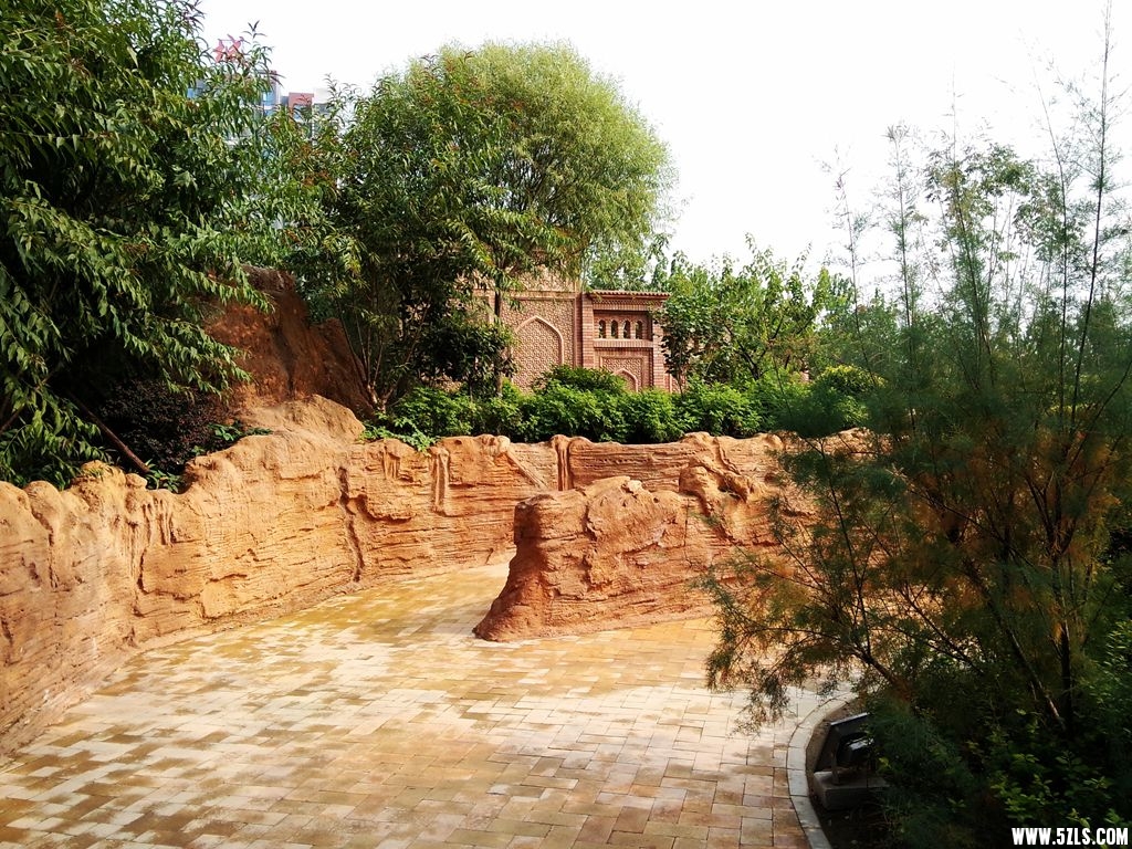 P50830-085643-001_.jpg