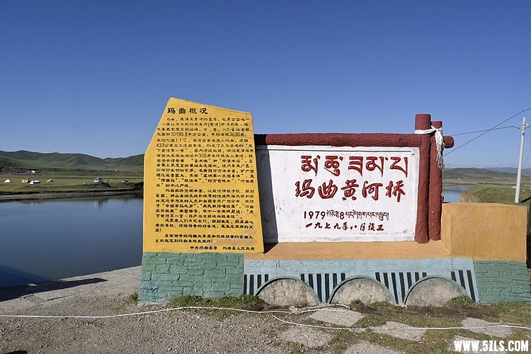 _DSC8009.JPG