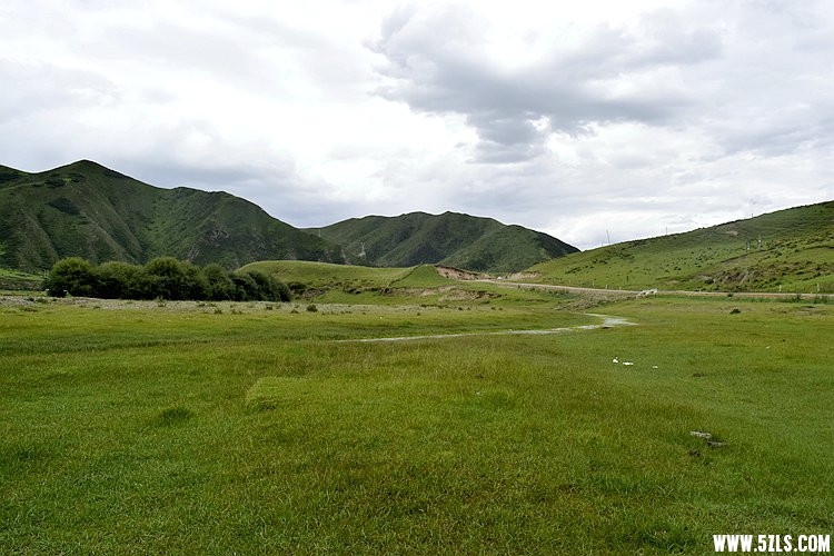 _DSC8047.JPG