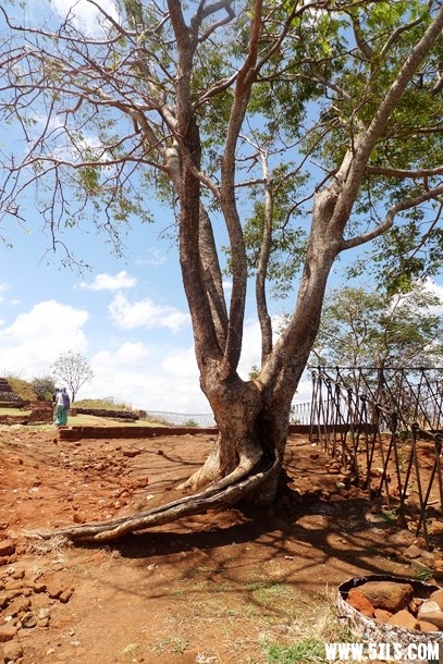 P1250834.JPG