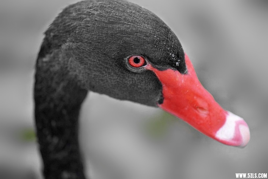 1SC_0751____.jpg
