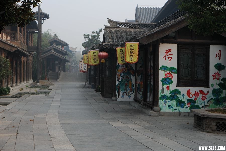 DSC_8620_副本_副本.jpg