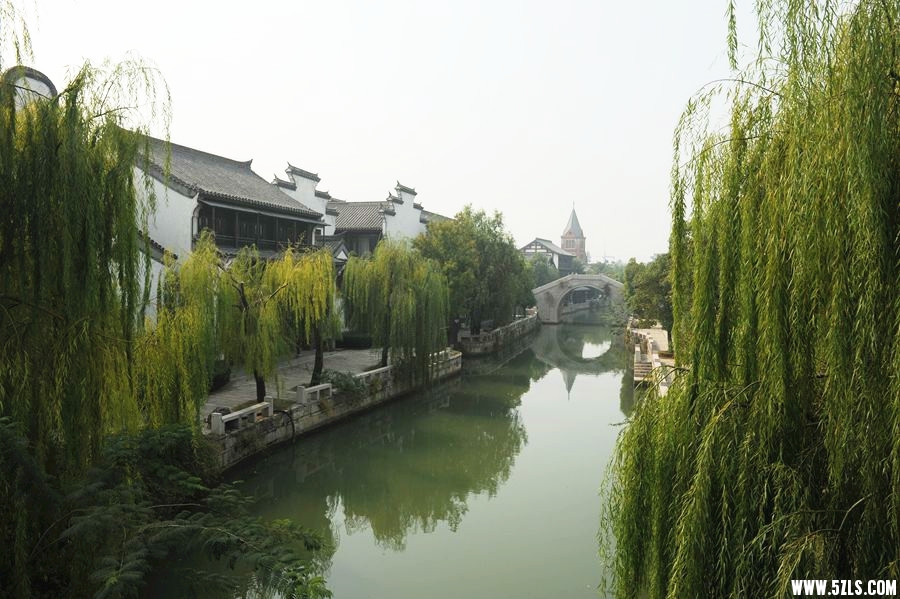 DSC_9019_副本_副本.jpg