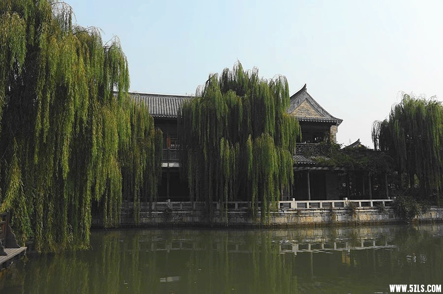 DSC_9041_副本_副本.jpg