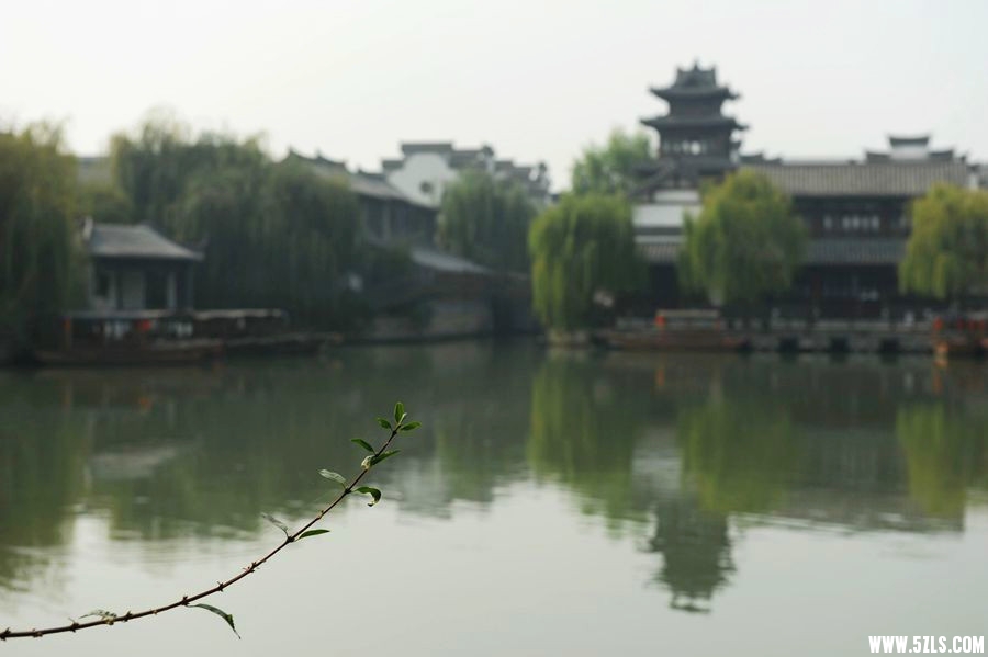 DSC_9044_副本_副本.jpg