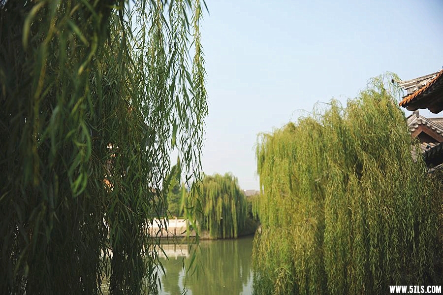 DSC_9055_副本_副本.jpg