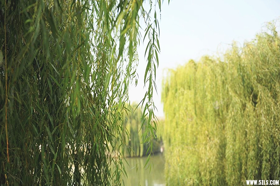 DSC_9058_副本_副本.jpg
