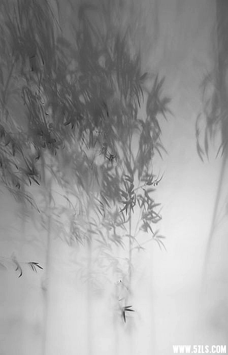 DSC_9749_副本_副本.jpg