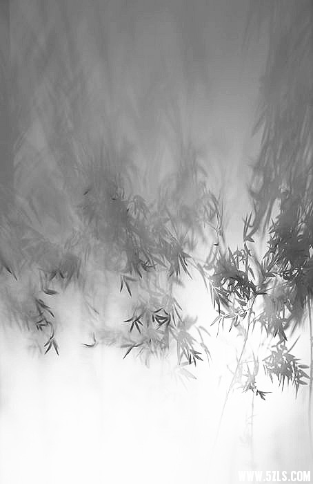 DSC_9748_副本_副本_副本.jpg