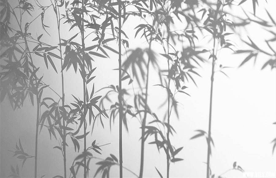 DSC_9760_副本_副本.jpg
