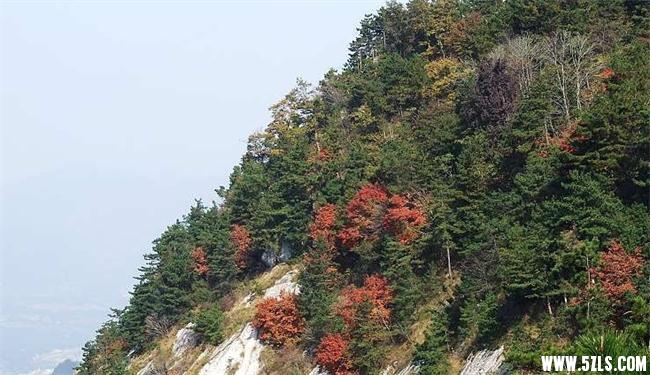 20071105_17d7f7ade4f57942a62ahVsXcbHOgtgQ_ͼ.jpg
