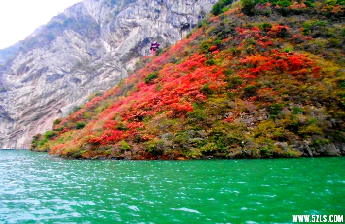 DSCN1737.JPG