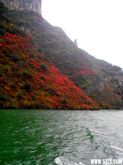 DSCN1742.JPG