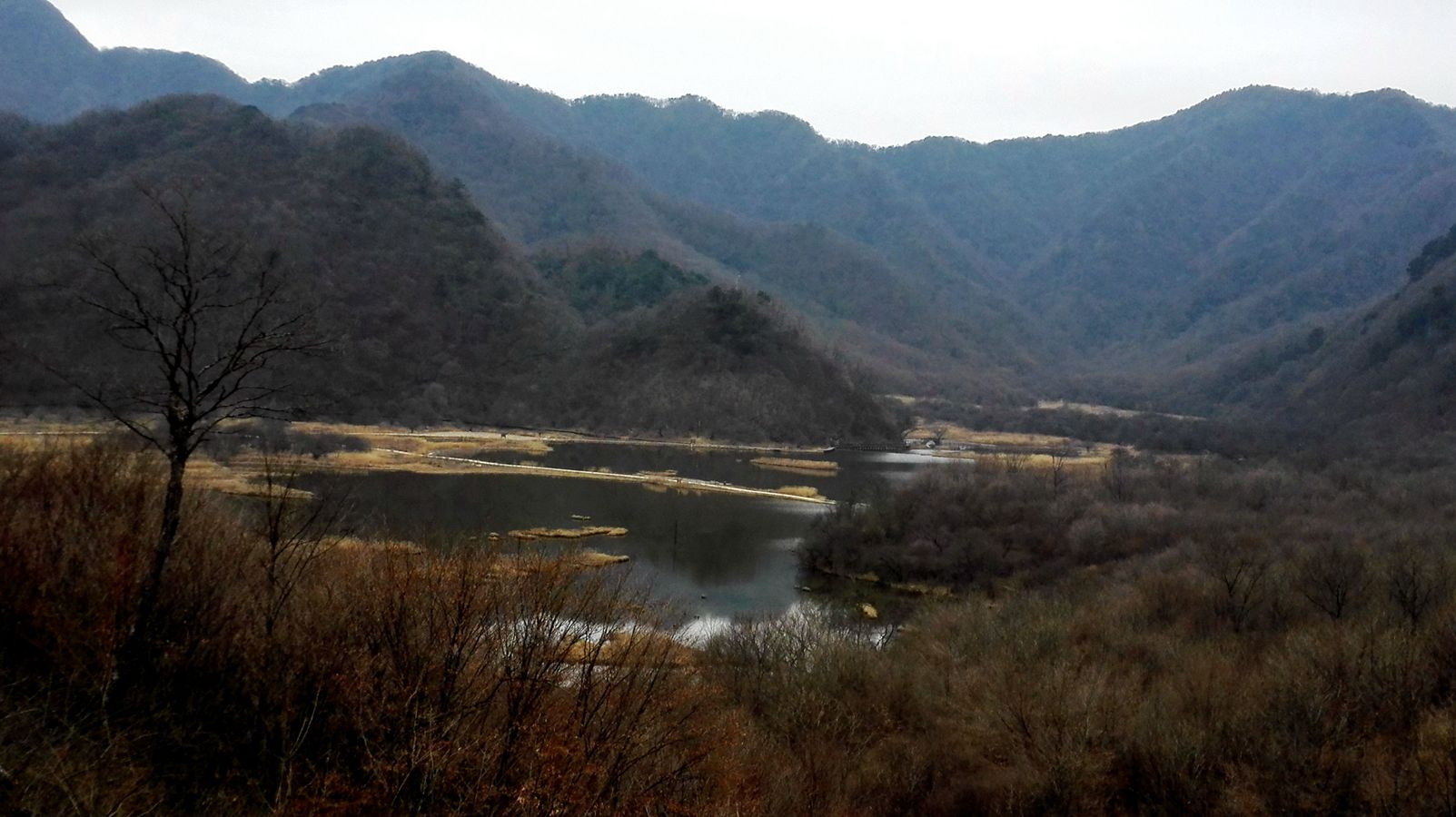 img_20160101_100310.jpg