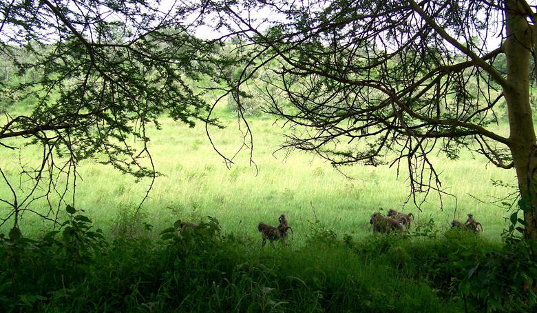 100_9029.jpg