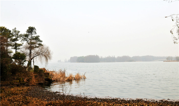 dsc_5000_.jpg
