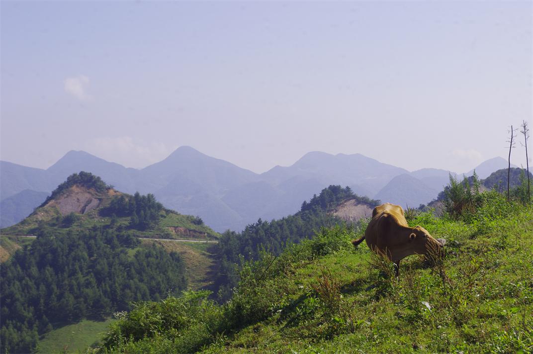 _igp7613.jpg