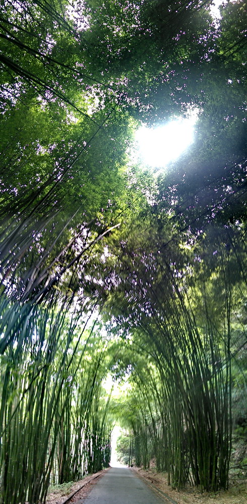20150813_103333.jpg