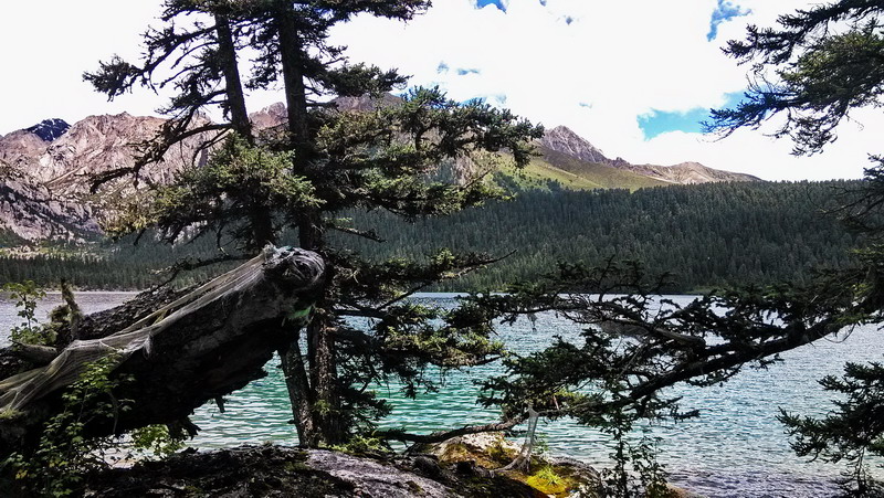 img_20150808_133922.jpg