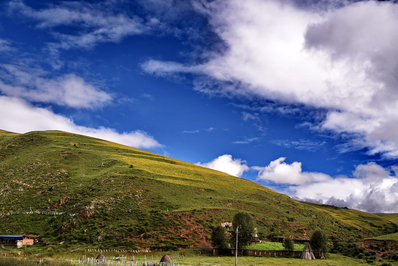 dsc_4562.jpg